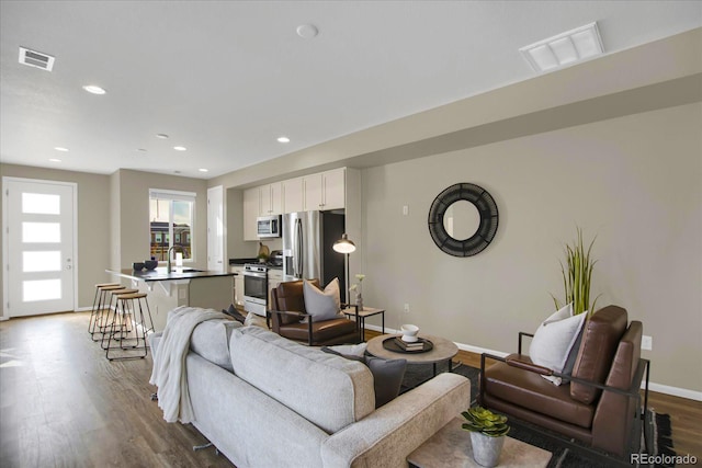 living room featuring wood-type flooring and sink