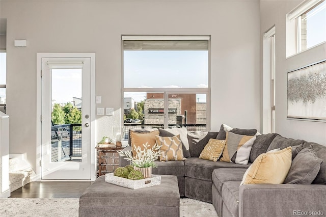 10305 Martin Luther King Blvd, Denver, CO 80238 - living room featuring healthy amount of natural light and wood finished floors