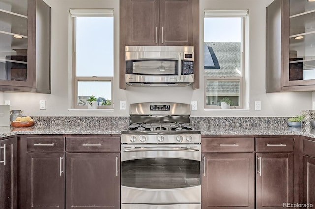 10305 Martin Luther King Blvd, Denver, CO 80238 - kitchen with stainless steel appliances, dark brown cabinetry, light stone countertops, and glass insert cabinets