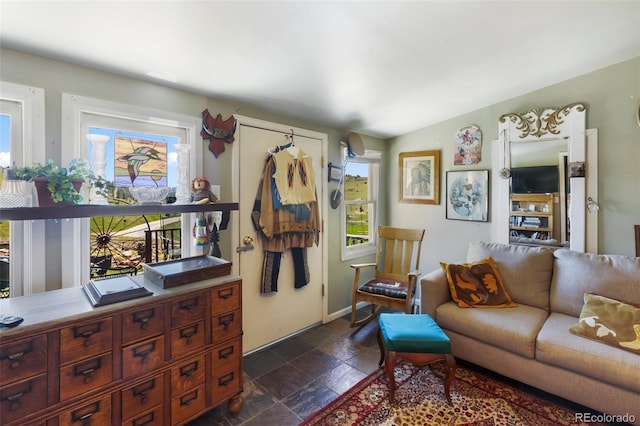 310 E Whiting Ave, Cripple Creek, CO 80813 - living area featuring plenty of natural light and dark stone finish floors