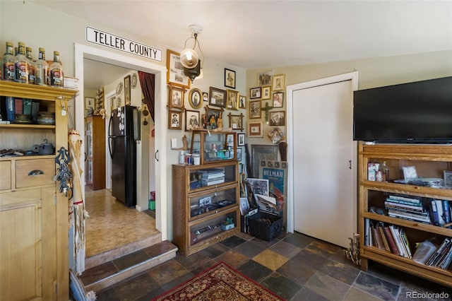 310 E Whiting Ave, Cripple Creek, CO 80813 - living area featuring dark stone finish flooring
