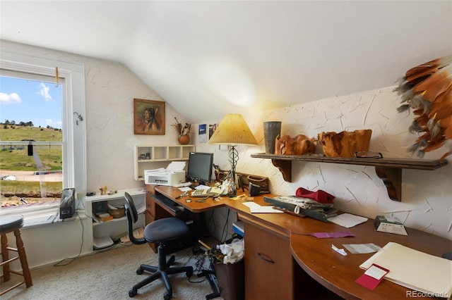 310 E Whiting Ave, Cripple Creek, CO 80813 - carpeted office featuring vaulted ceiling