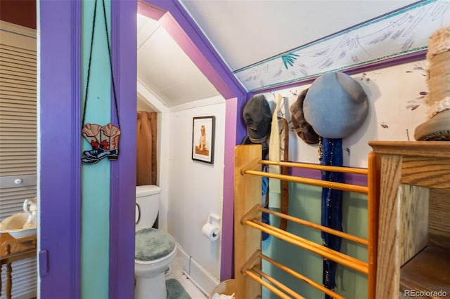 310 E Whiting Ave, Cripple Creek, CO 80813 - bathroom featuring toilet and lofted ceiling