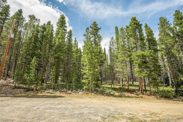 Listing photo 3 for 114 Elk Cir, Idaho Springs CO 80452