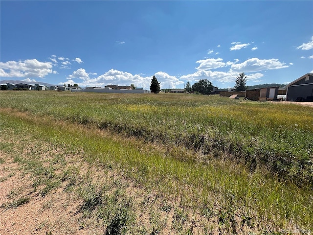 Listing photo 3 for Golden Grain, Divide CO 80814