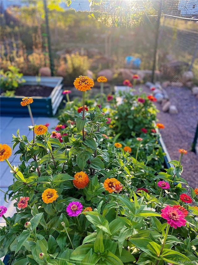 details with a garden