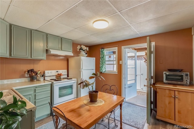 kitchen with green cabinetry, light countertops, white appliances, under cabinet range hood, and a toaster