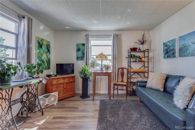 sitting room featuring light wood-style flooring and a healthy amount of sunlight