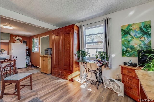 living area with a wealth of natural light and light wood-style floors