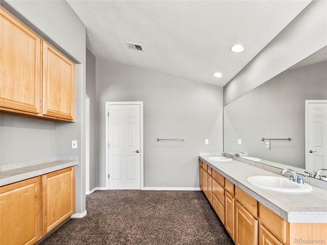 bathroom with vanity, vaulted ceiling, and a textured ceiling