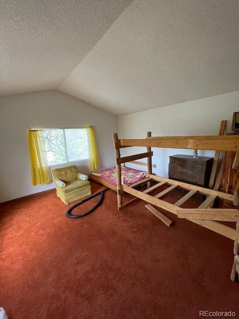 bedroom with a textured ceiling, carpet floors, and vaulted ceiling