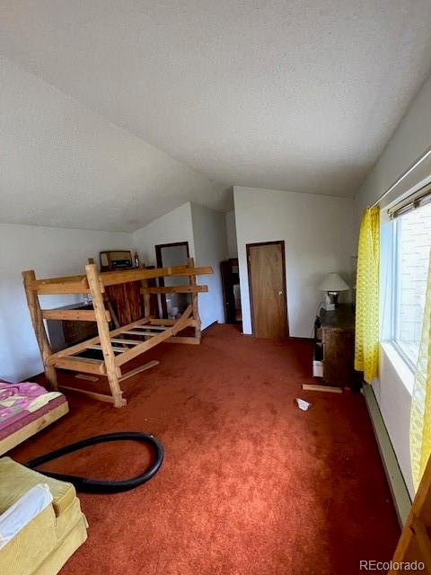 bedroom with a baseboard radiator, carpet, a textured ceiling, and lofted ceiling