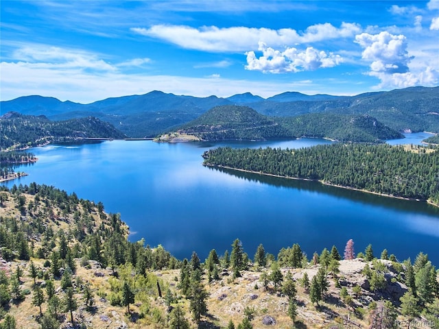 water view with a forest view and a mountain view