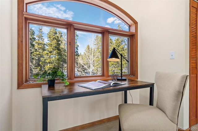 439 Ronnie Rd, Golden, CO 80403 - view of dining space