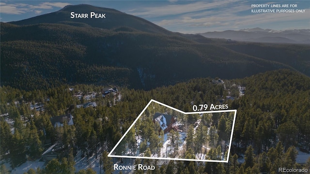 439 Ronnie Rd, Golden, CO 80403 - view of mountain background featuring a forest