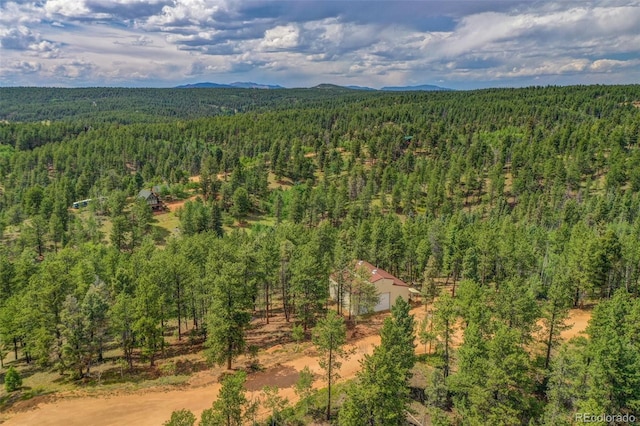 449 Woody Creek Rd, Florissant, CO 80816