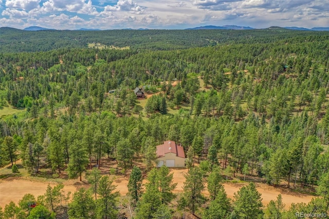 449 Woody Creek Rd, Florissant, CO 80816