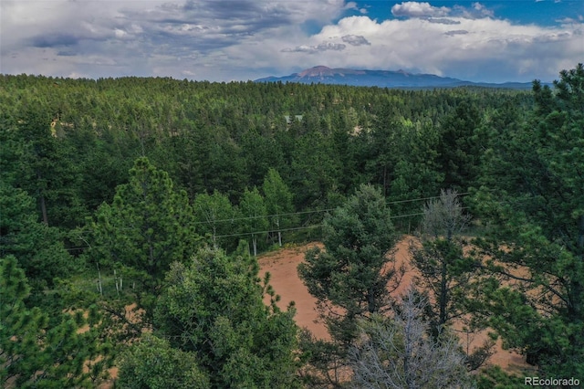 449 Woody Creek Rd, Florissant, CO 80816