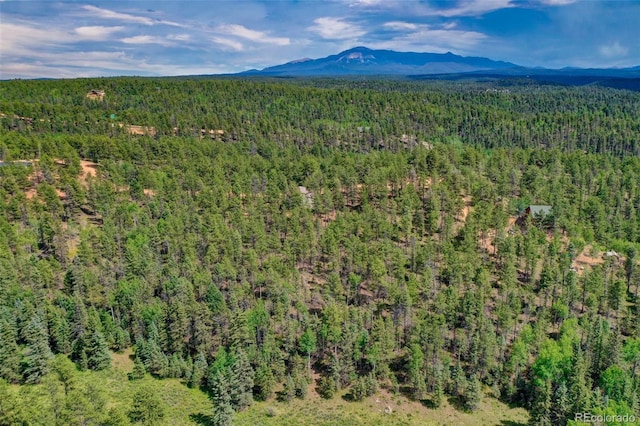 449 Woody Creek Rd, Florissant, CO 80816