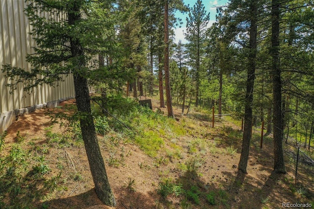 449 Woody Creek Rd, Florissant, CO 80816