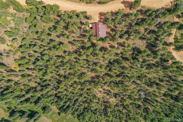 449 Woody Creek Rd, Florissant, CO 80816
