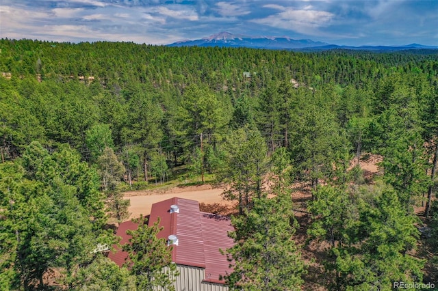 449 Woody Creek Rd, Florissant, CO 80816