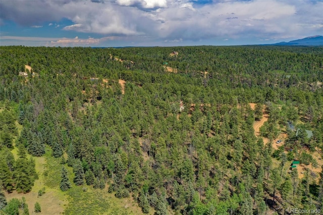 449 Woody Creek Rd, Florissant, CO 80816