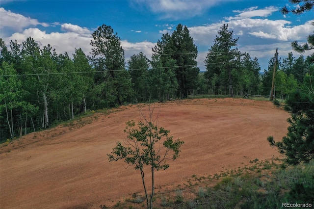 449 Woody Creek Rd, Florissant, CO 80816