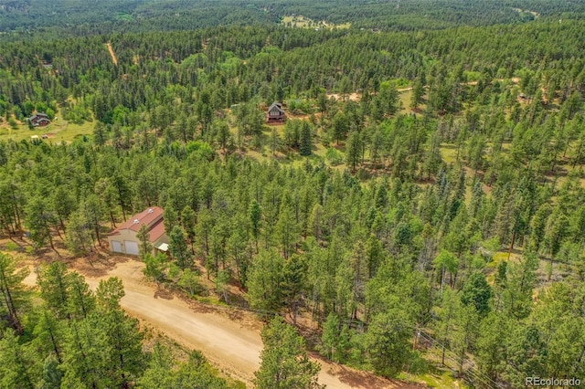 449 Woody Creek Rd, Florissant, CO 80816