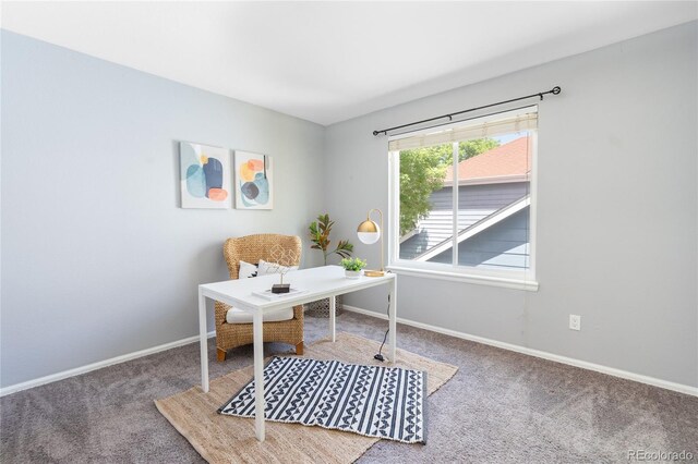 office space featuring carpet floors and baseboards