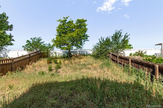 545 Tanager St, Brighton, CO 80601 - view of yard