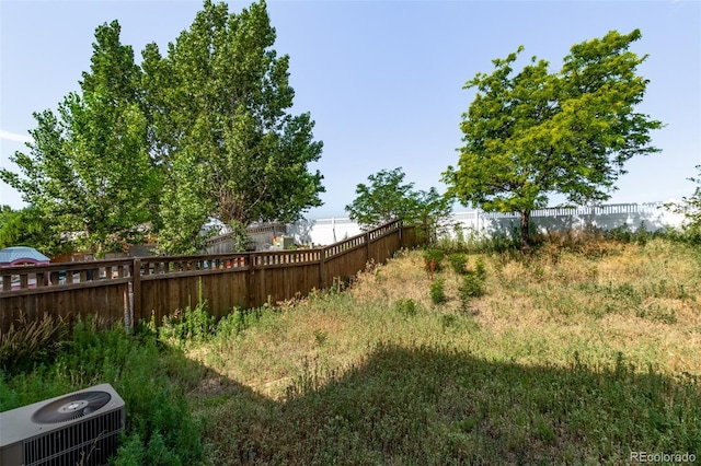 545 Tanager St, Brighton, CO 80601 - view of yard