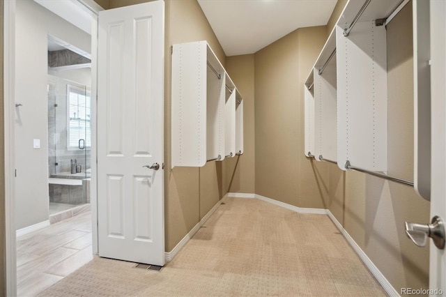 10731 Featherwalk Ln, Highlands Ranch, CO 80126 - view of spacious closet