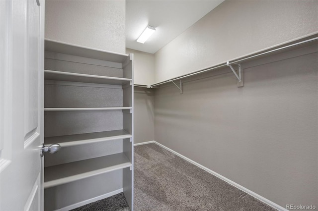 12210 Pine Post Dr, Parker, CO 80138 - spacious closet with carpet floors