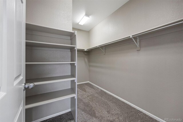 12210 Pine Post Dr, Parker, CO 80138 - photo 15