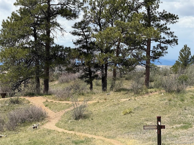 view of nature