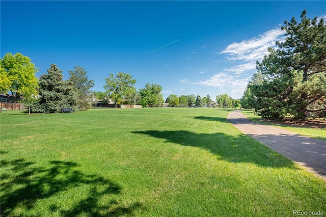 5319 E Davies Dr, Centennial, CO 80122 - view of green lawn