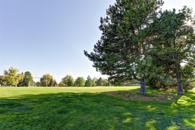 5319 E Davies Dr, Centennial, CO 80122 - photo 40
