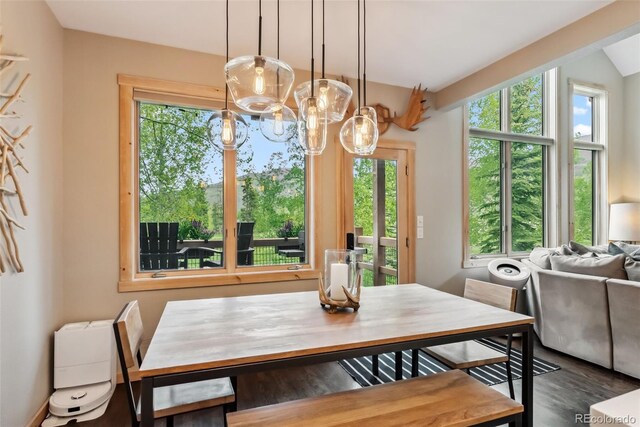 402 Kestrel Ln, Silverthorne, CO 80498 - photo 11