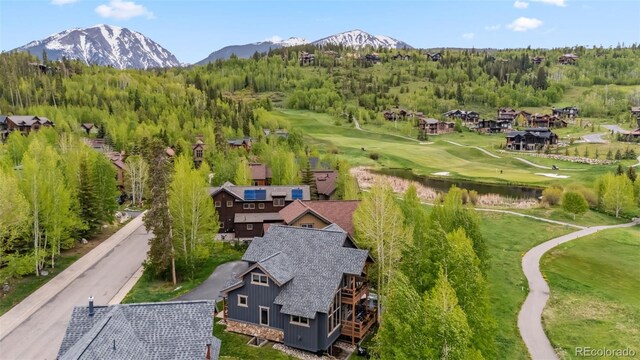 402 Kestrel Ln, Silverthorne, CO 80498 - photo 43