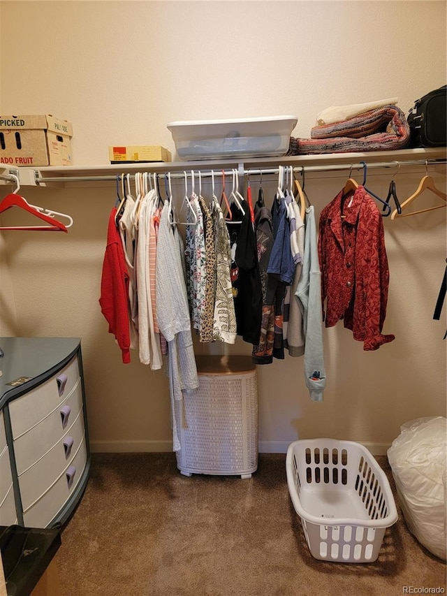 spacious closet featuring carpet