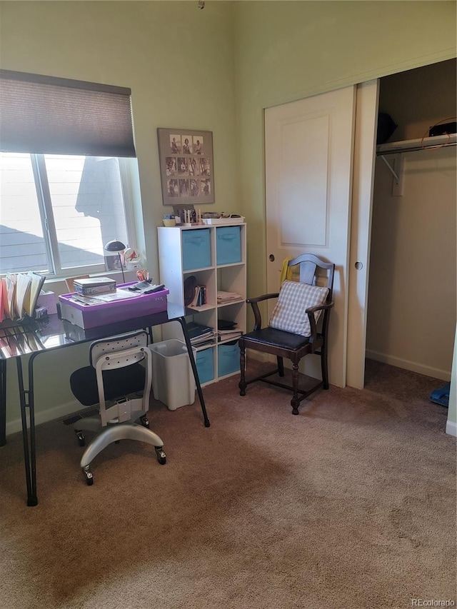 office featuring carpet and baseboards