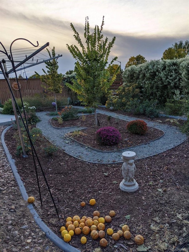 view of yard featuring fence