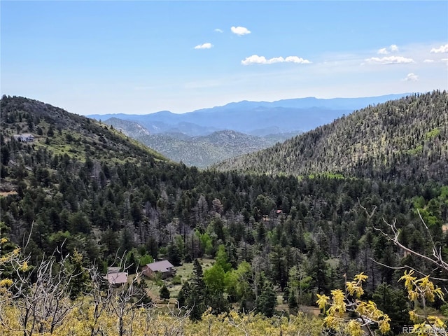 53 Trail Dr, Cotopaxi, CO 81223 - photo 2