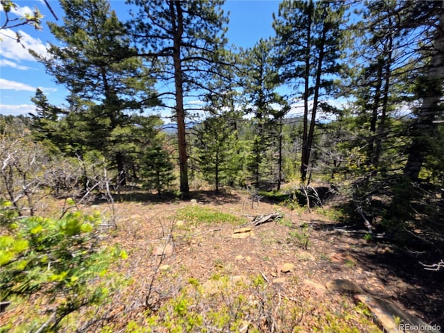 53 Trail Dr, Cotopaxi, CO 81223 - photo 7