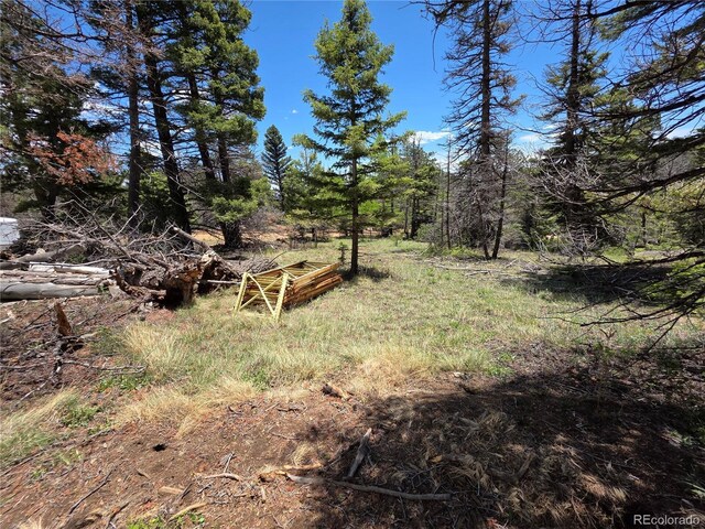 53 Trail Dr, Cotopaxi, CO 81223 - photo 8