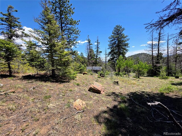 53 Trail Dr, Cotopaxi, CO 81223 - photo 9