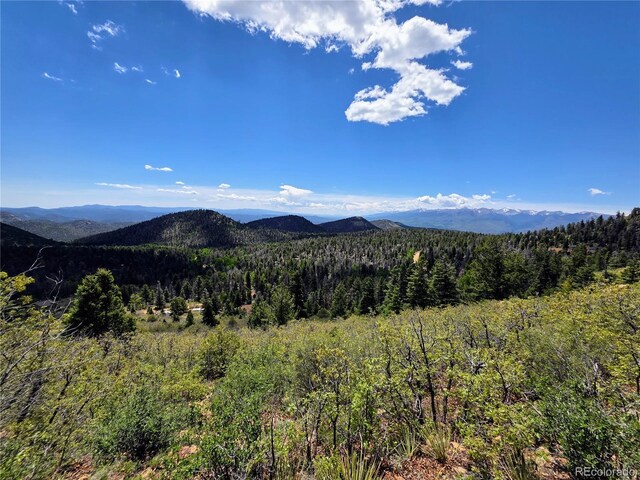 53 Trail Dr, Cotopaxi, CO 81223 - photo 12
