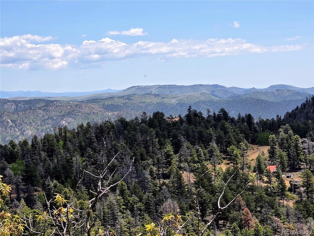 53 Trail Dr, Cotopaxi, CO 81223 - photo 13