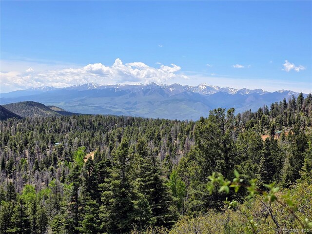 53 Trail Dr, Cotopaxi, CO 81223 - photo 14
